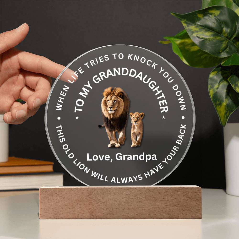 Special Gift For Granddaughter - LED  Acrylic Plaque - SO#1472
