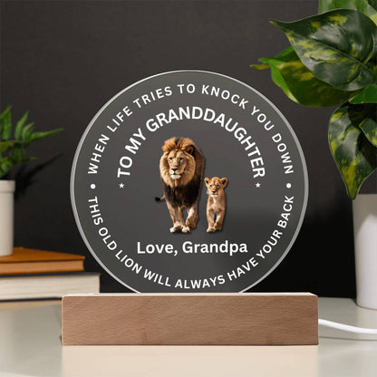 Special Gift For Granddaughter - LED  Acrylic Plaque - SO#1472