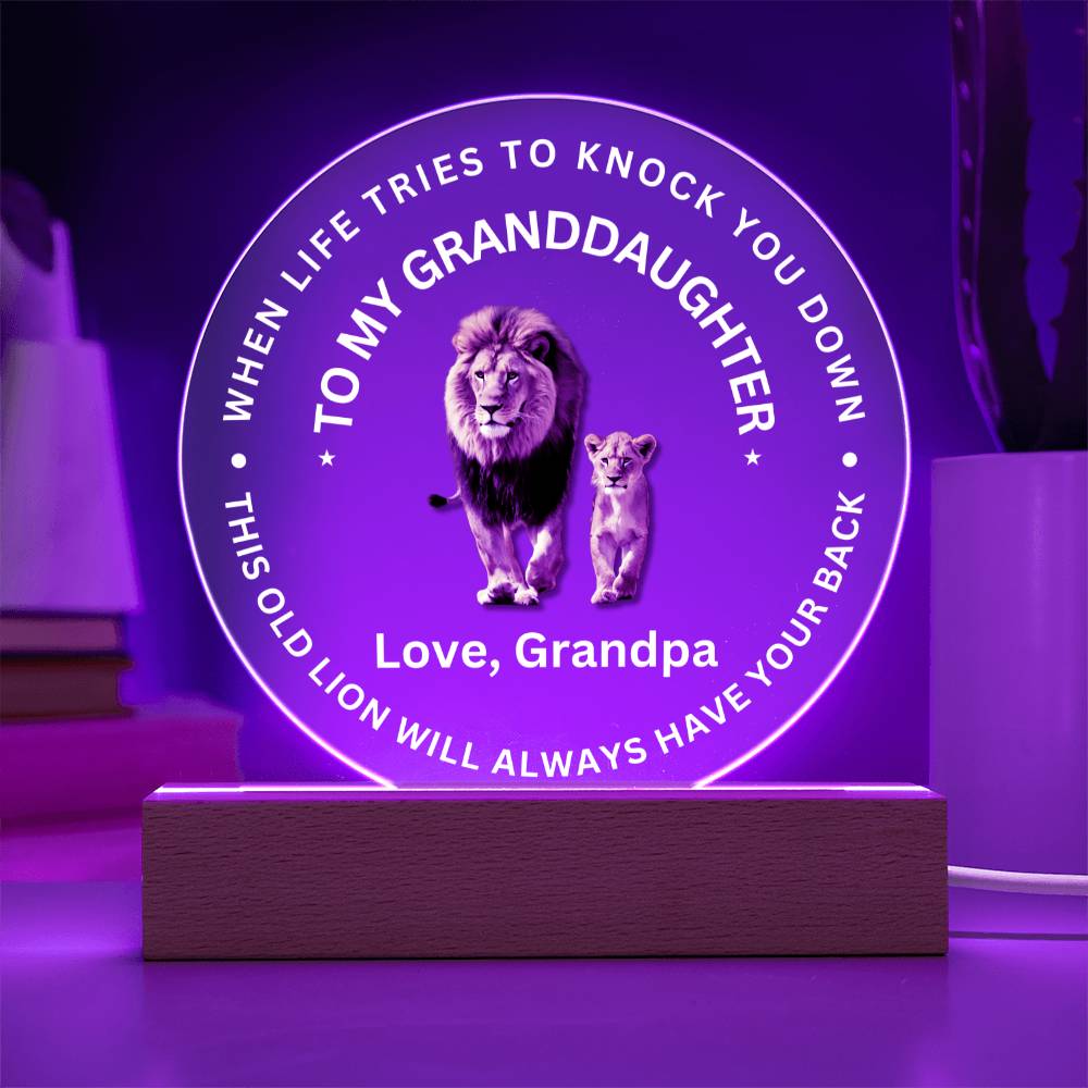 Special Gift For Granddaughter - LED  Acrylic Plaque - SO#1472