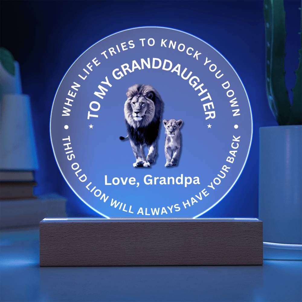 Special Gift For Granddaughter - LED  Acrylic Plaque - SO#1472