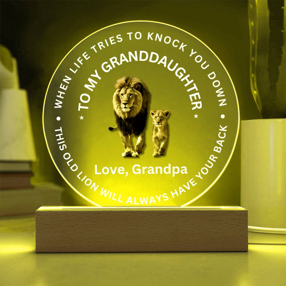 Special Gift For Granddaughter - LED  Acrylic Plaque - SO#1472