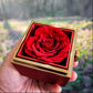 To My Daughter - From Dad - Rotating Rose Box Necklace Gift Set SS#28