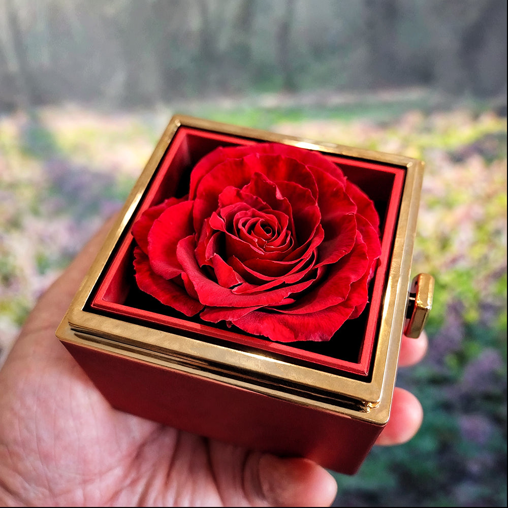 To My Daughter Rotating Rose Box Necklace Gift - SS#29